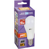 Лампа светодиодная JAZZWAY PLED POWER A60 15W E27 5000K 2853035