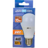 Лампа светодиодная JAZZWAY PLED POWER A60 15W E27 5000K 2853035