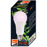 Светодиодная лампа для растений JAZZWAY PPG A60 Agro 15w CLEAR E27 IP20 5049444